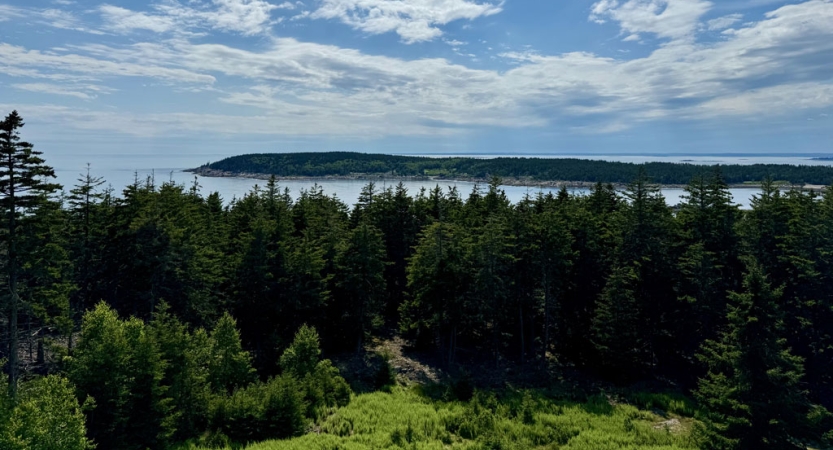 From a high elevation, there are trees and blue body of water below. 